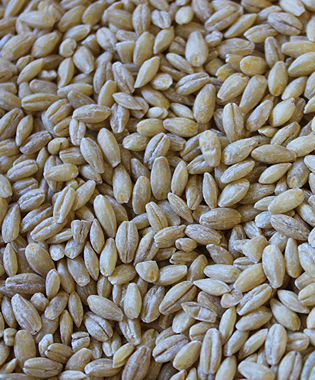 Pearled Barley product image