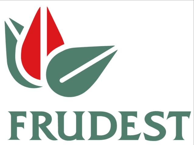FRUDEST logo