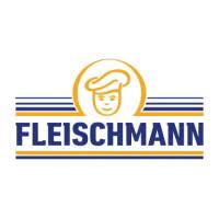 FLEISCHMANN FOODS S.A. logo