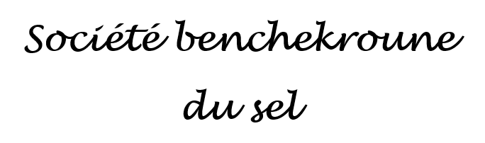 Société benchekroune du sel logo