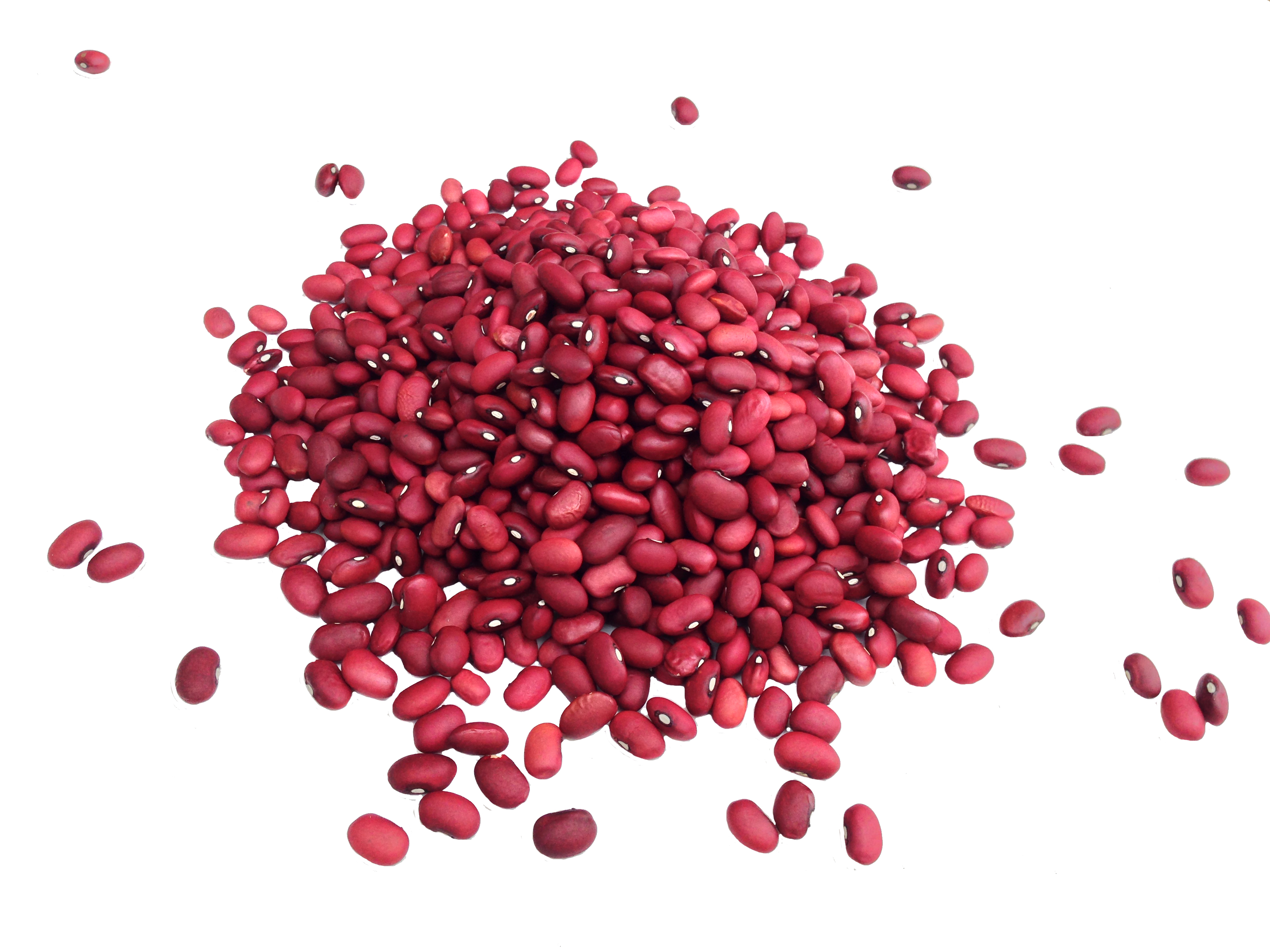 Small Red Beans product image
