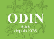 ODIN SAS logo