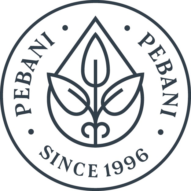 PEBANI S.A.C logo