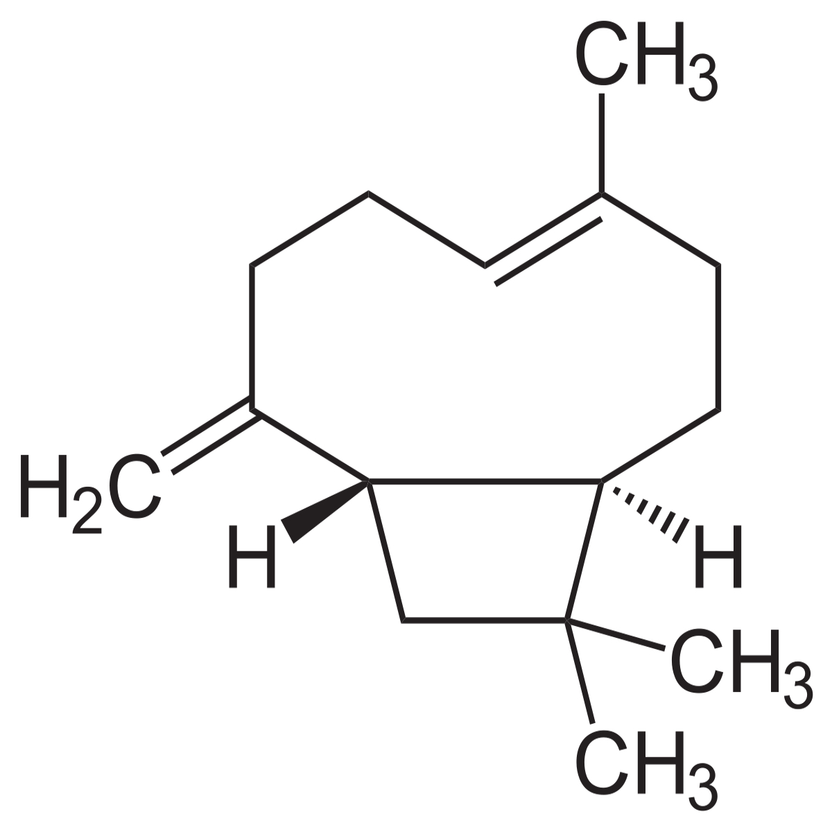 Beta Caryophyllene 85% product image