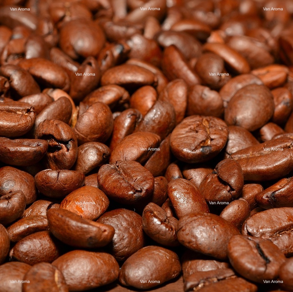 Coffee Arabica Extract product image