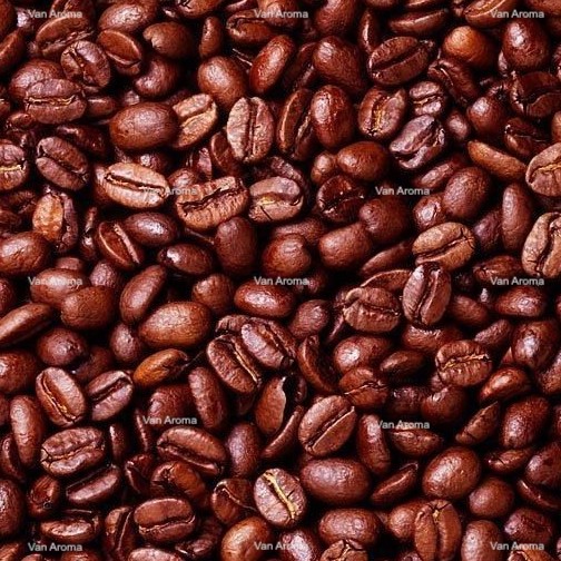 Coffee Robusta Extract product image