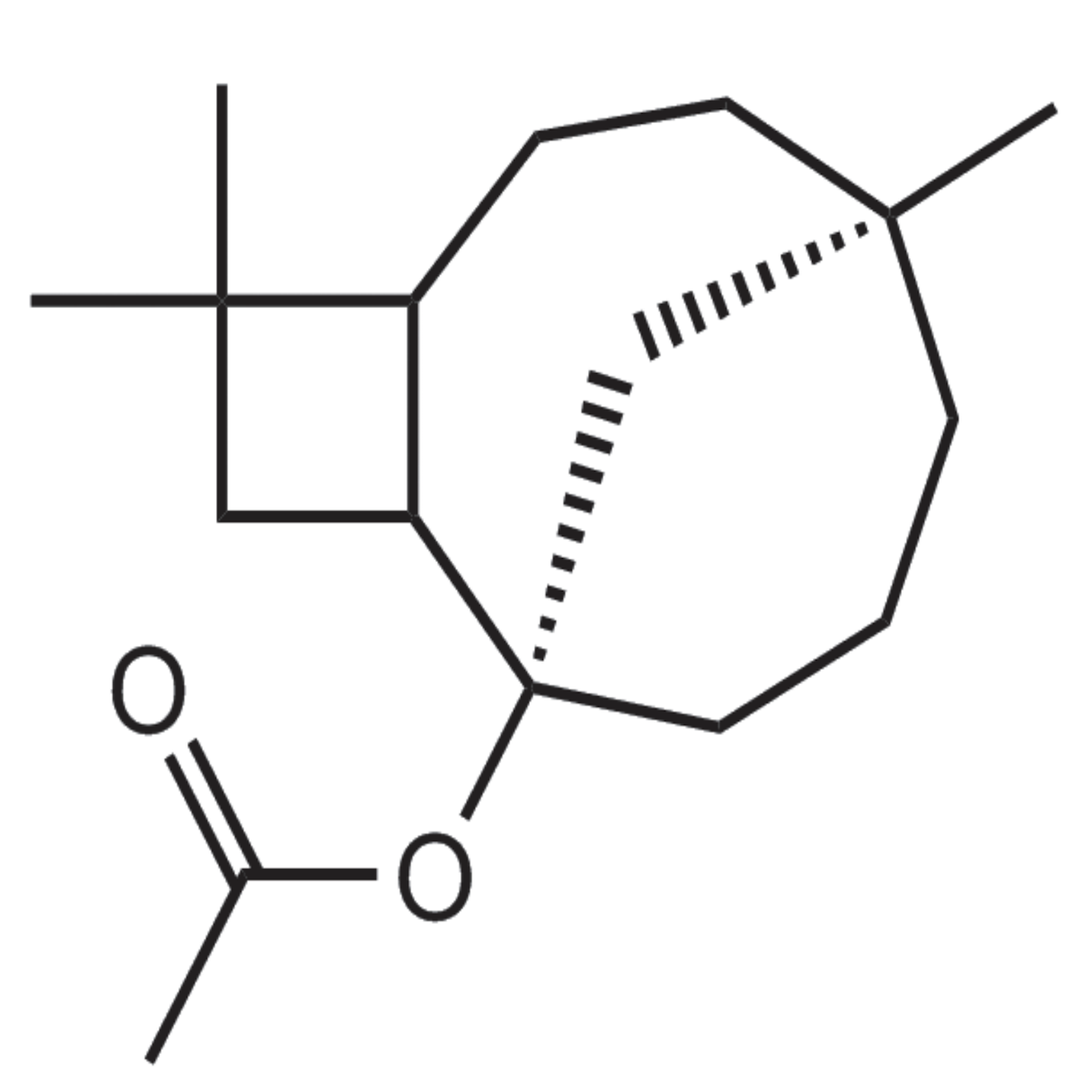 Beta Caryophyllene Acetate product image