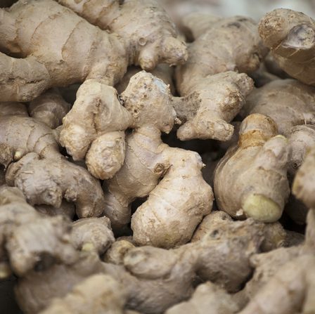 Ginger Extract product image