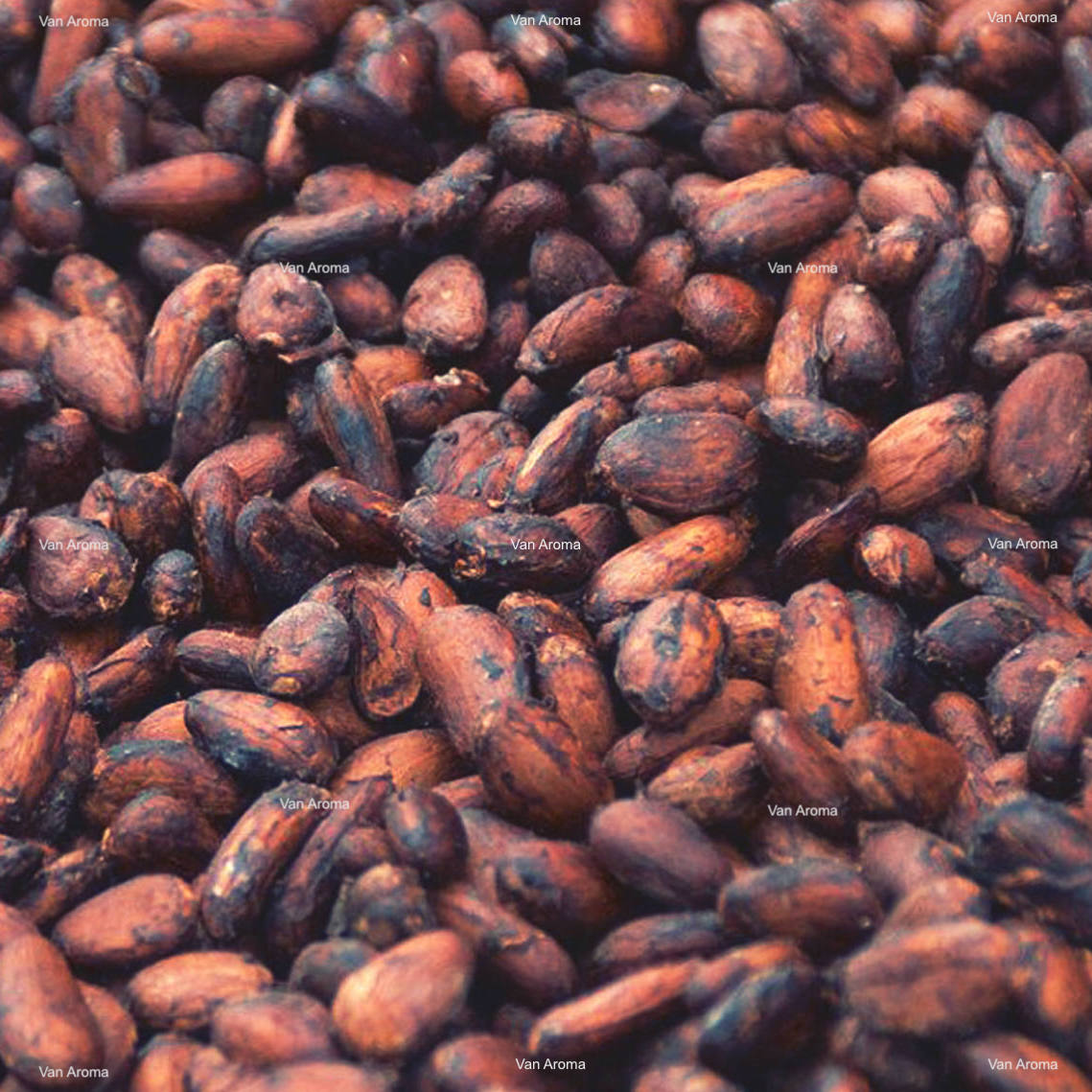 Cocoa Extract product image