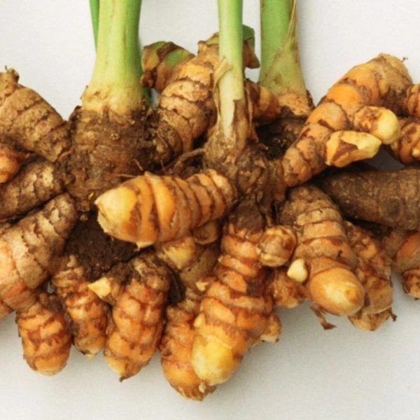 Curcuma Longa (Turmeric Extract) product image