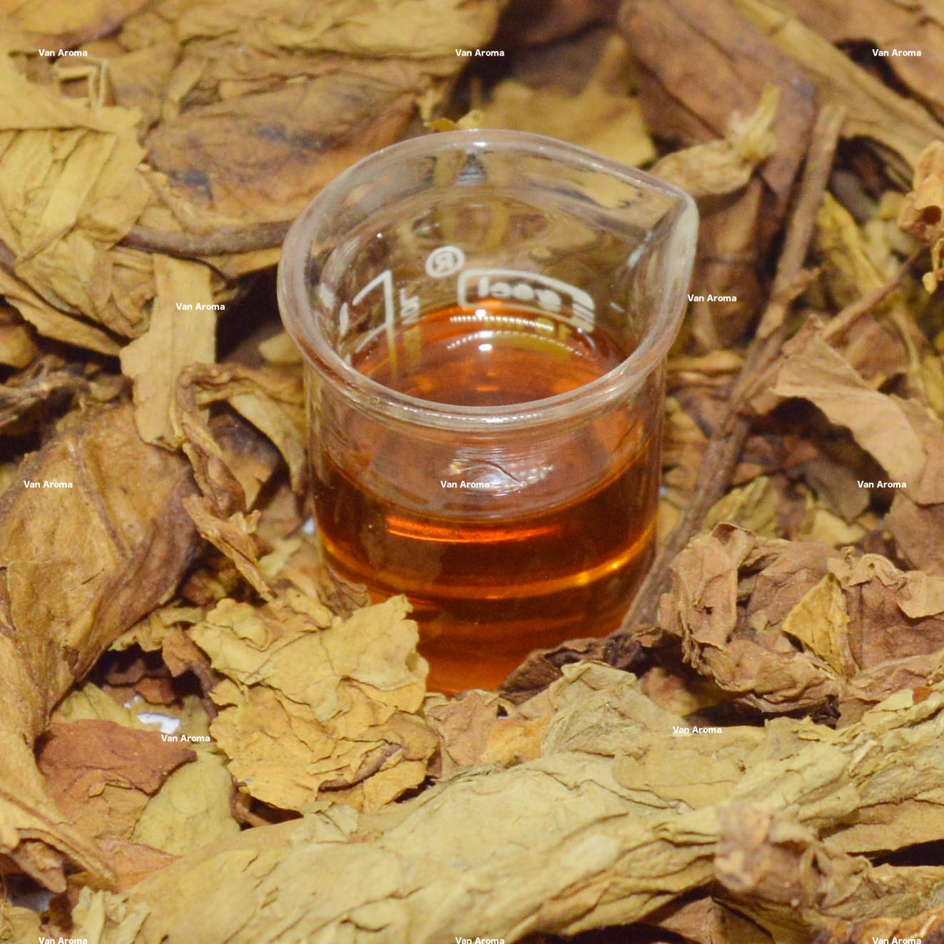 Tobacco Oriental Extract product image