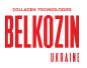 Belkozin LLC logo
