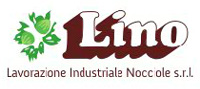 LINO SRL logo