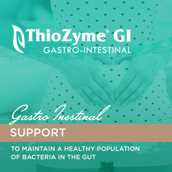 ThioZyme™ GI product image