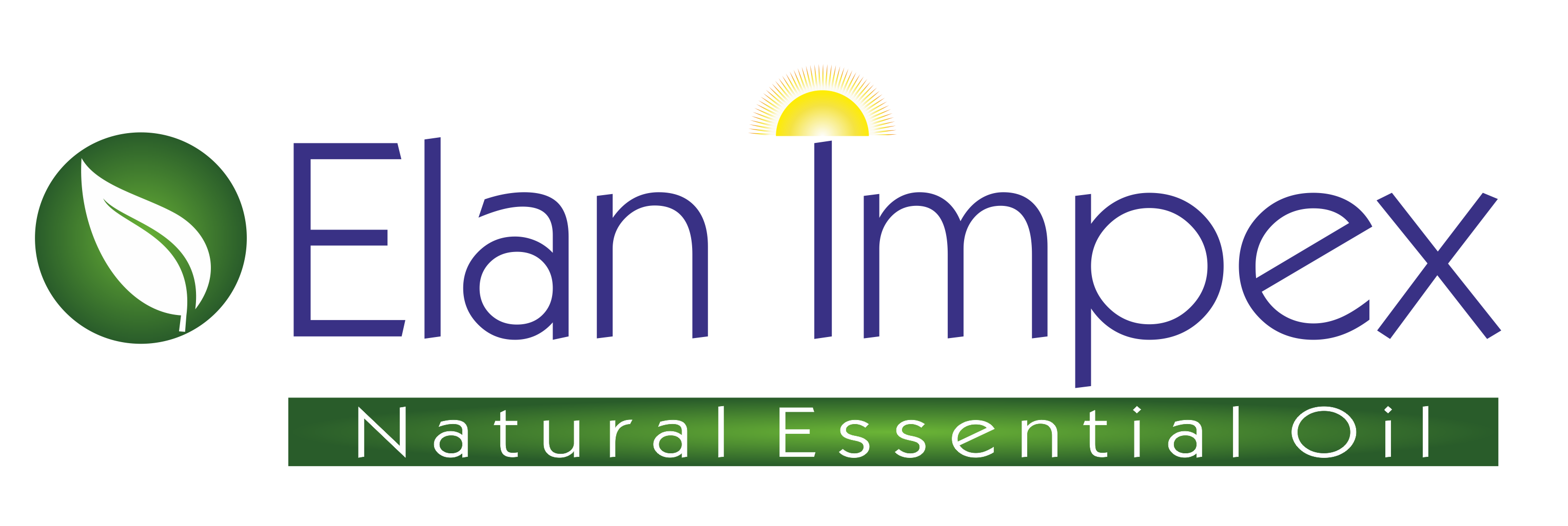 elan impex logo