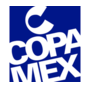 Inpamex Planta Huehuetoca logo