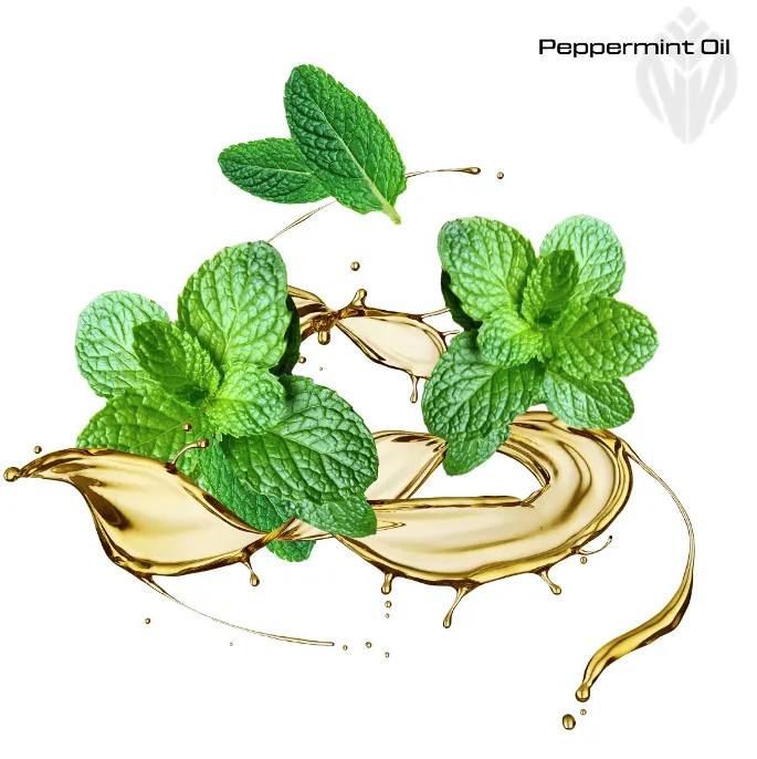 Mentha Piperita Oil product image