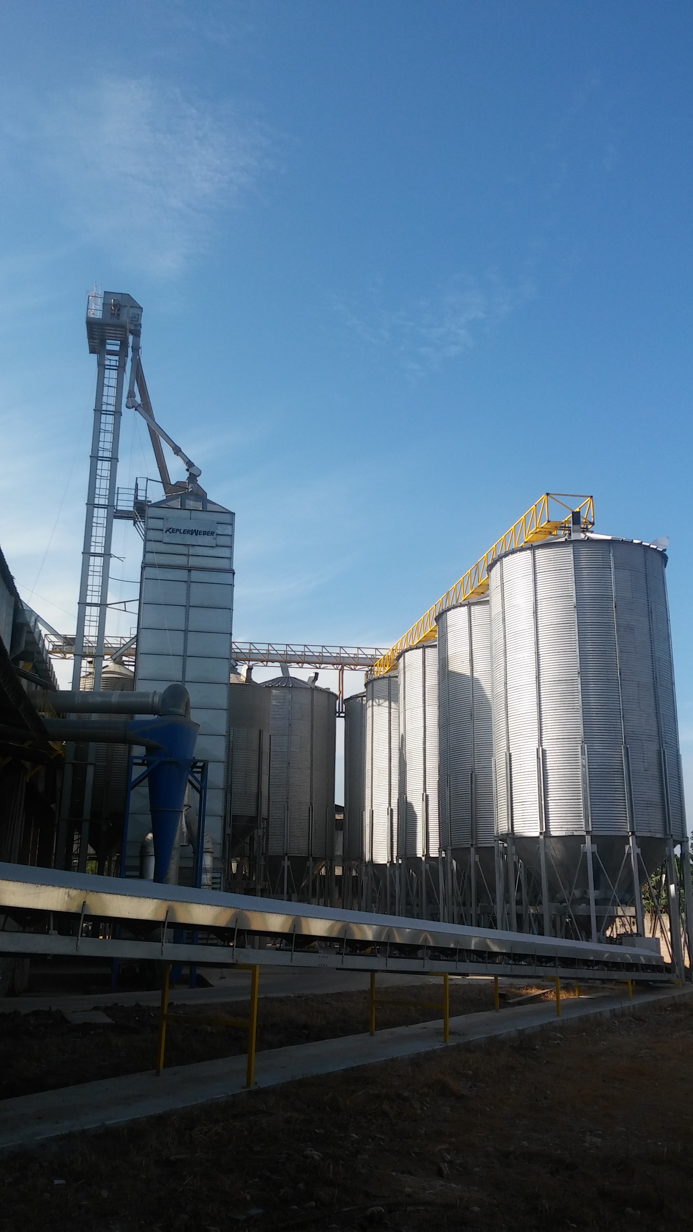 INDUSTRIA MOLINERA AMAZONAS logo