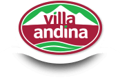 Villa Andina logo