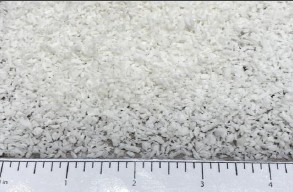 Desiccated Medium SO2 Free Coconut product image