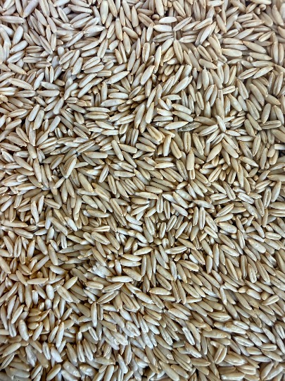 Organic Naked Oats product image