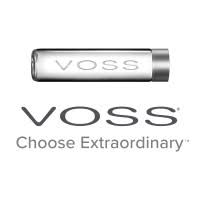 Voss Productions USA logo