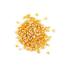 Seed, Popcorn Yellow Organic product image
