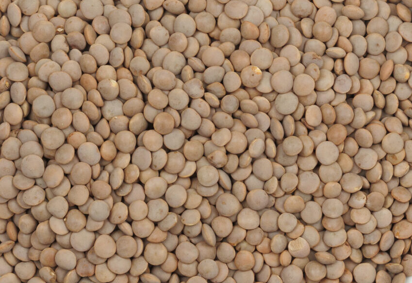 Lentils Brown Organic product image