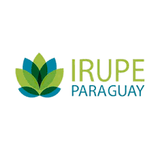 Irupe Paraguay S.A logo