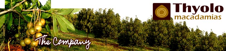 Tree Nuts Direct Ltd logo