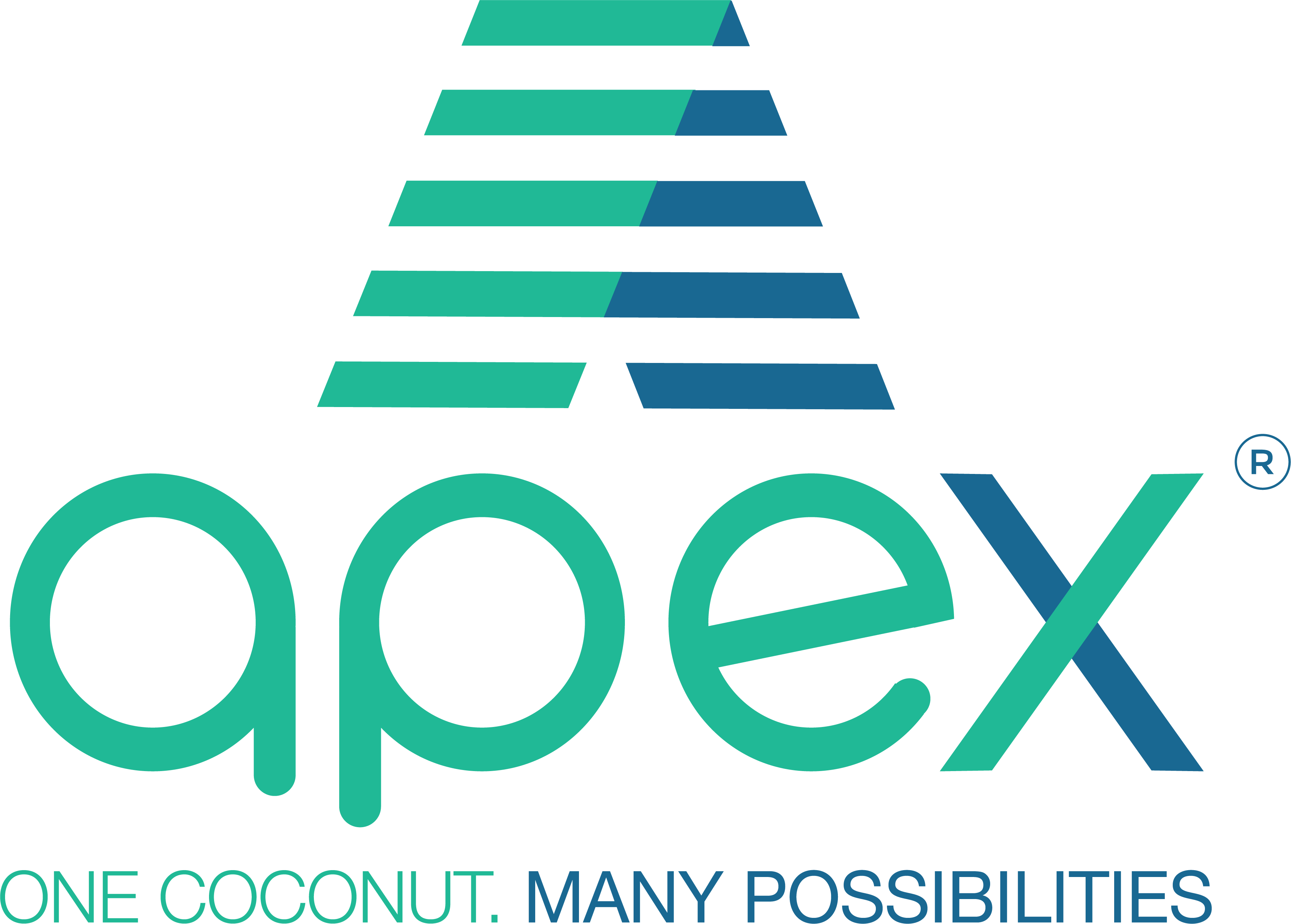 Coconut Cream, 24%, Aseptic - Food Ingredient - Apex Coco and Solar ...