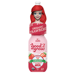 Organic Strawberry Milk product image