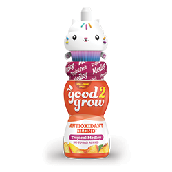 Tropical Fruit Medley product image