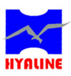 Shandong Haiyue logo