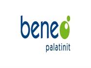 BENEO PALATINIT Spain logo