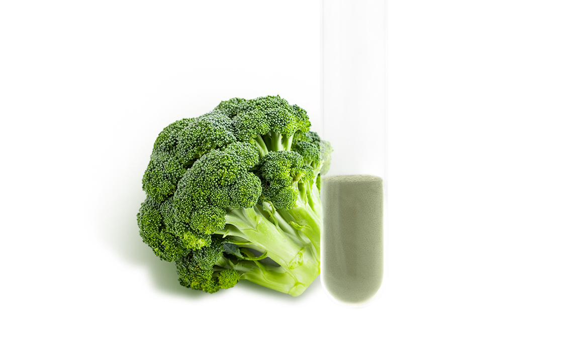 Organic Broccoli Powder product image