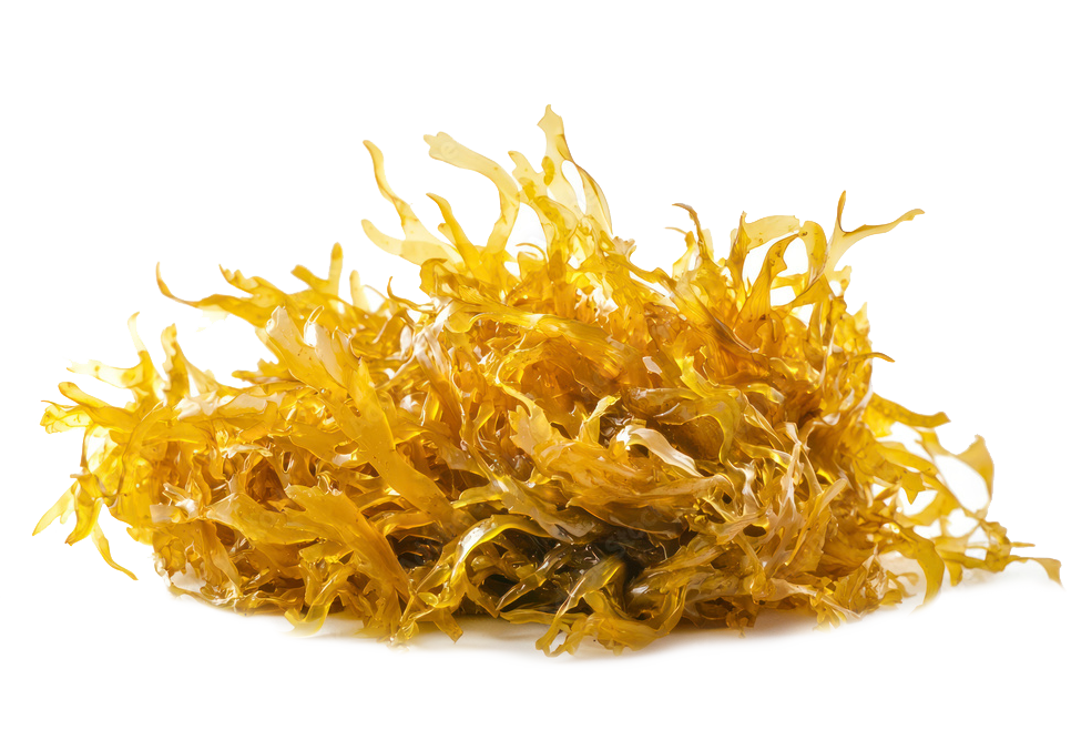 Irish Sea Moss Powder product image