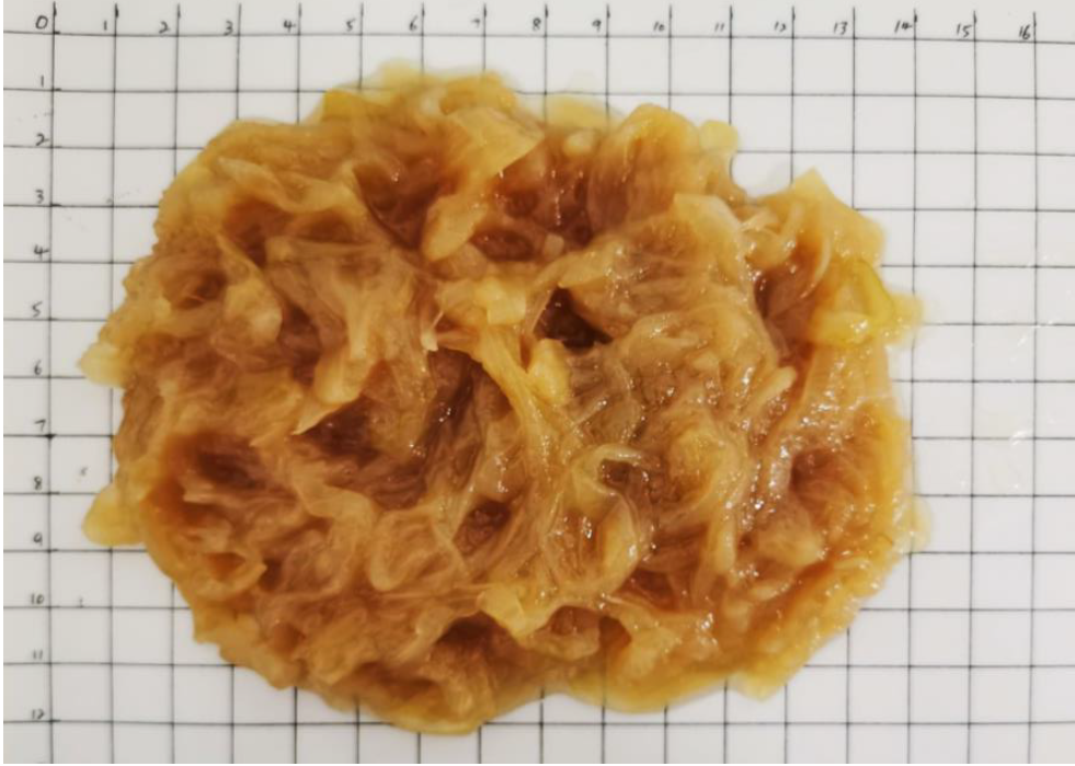 Caramelised Onion product image