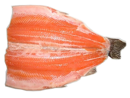 Red Rainbow Trout Butterfly HeadOff PBO (Boned PBO) product image