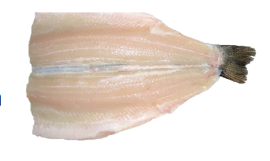Natural Rainbow Trout Premium  Gourmet Tail-On PBO product image