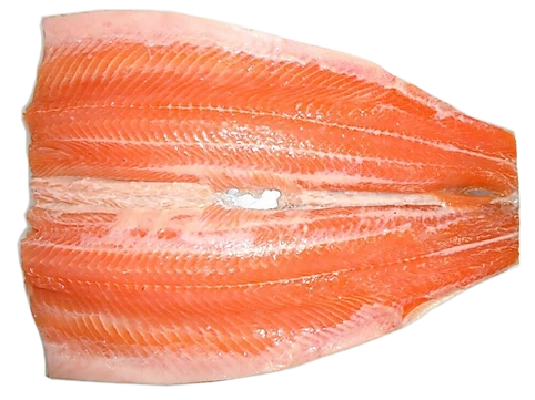Red Rainbow Trout Premium  Gourmet PBO product image