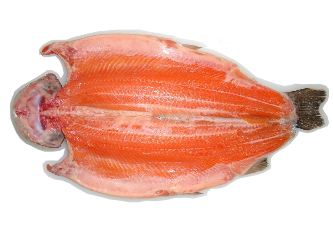 Red Rainbow Trout Butterfly Head-On PBI (Boned) product image