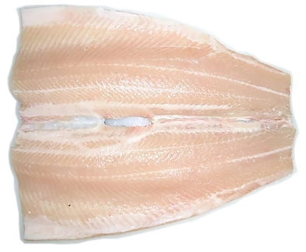 Natural Rainbow Trout Premium  Gourmet PBO product image