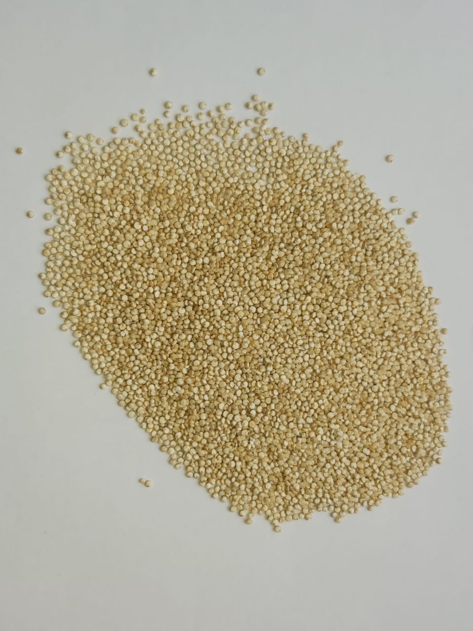 Organic White Quinoa product image