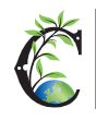 RM Curtis Ltd logo