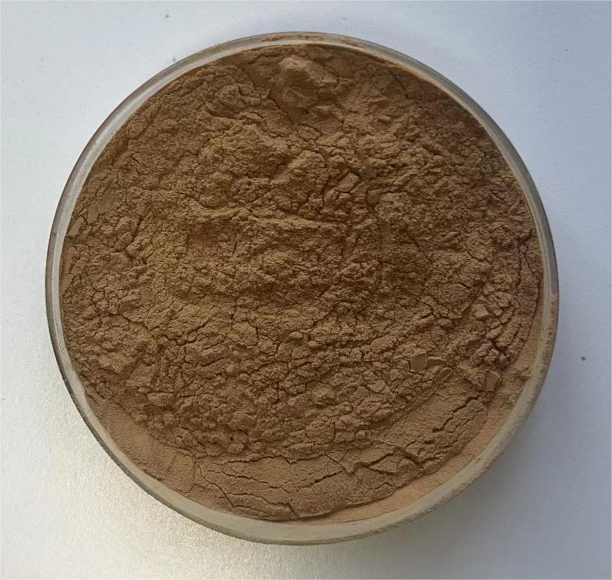 Fadogia Agrestis Extract Powder product image