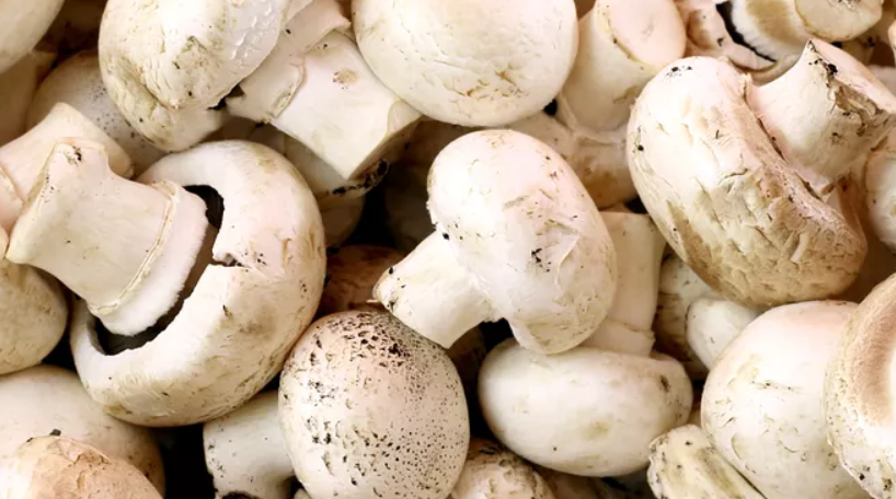 Agaricus Bisporus Extract Polysaccharide product image