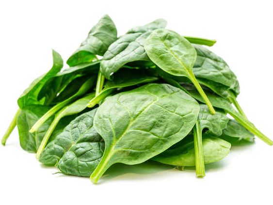 Organic Spinach Powder product image