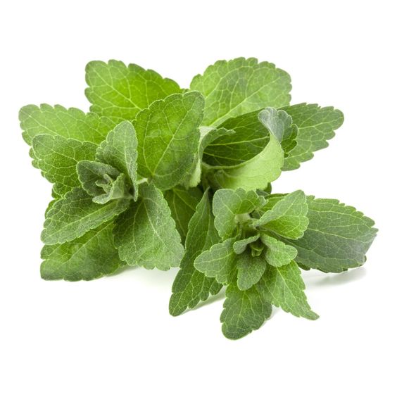 Stevia Powder Extract-Rebaudioside A 97% Total  Steviol  Glycosides 98% product image