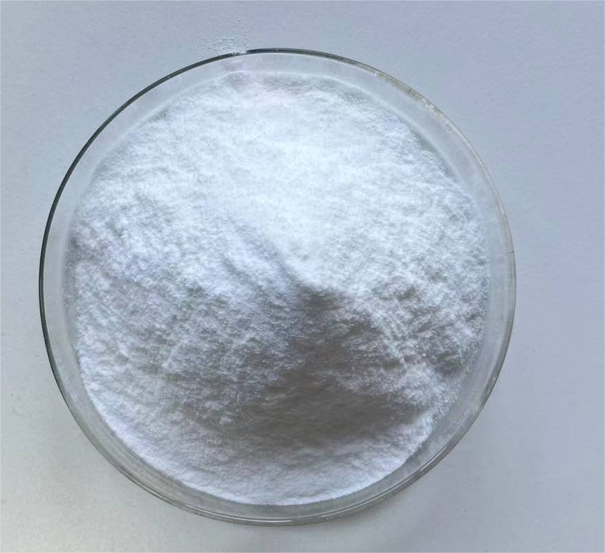 Bitter Apricot Extract Powder Amygdalin 98% HPLC product image